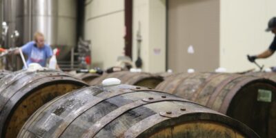 Proizvodnja ostalih nedestilovanih fermentisanih pića