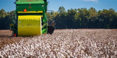Gajenje biljaka za proizvodnju vlakana