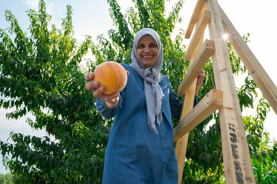 Gajenje jabučastog i koštičavog voća