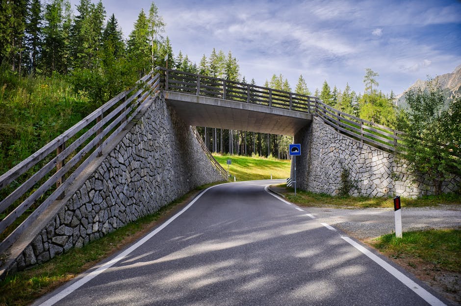 Izgradnja puteva i autoputeva