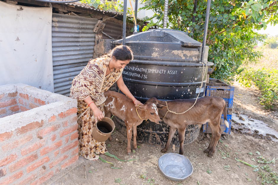 Mešovita poljoprivredna proizvodnja