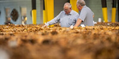 Uslužne delatnosti u poljoprivredi i delatnosti posle žetve