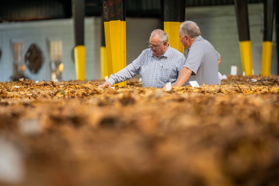 Uslužne delatnosti u poljoprivredi i delatnosti posle žetve