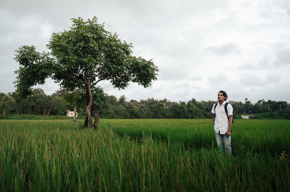 Gajenje ostalih višegodišnjih biljaka