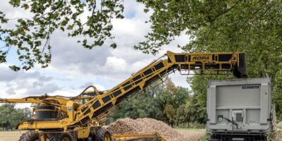 Proizvodnja šećera