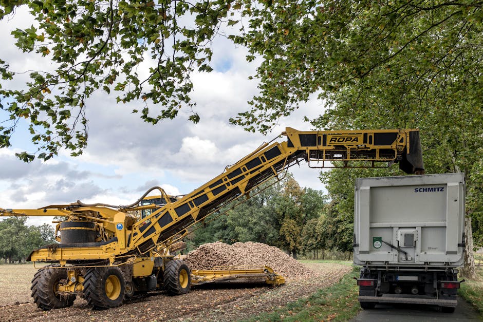 Proizvodnja šećera