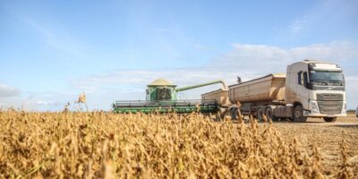 Gajenje jednogodišnjih i dvogodišnjih biljaka