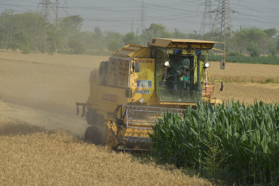 Proizvodnja mlinskih proizvoda, skroba i skrobnih proizvoda