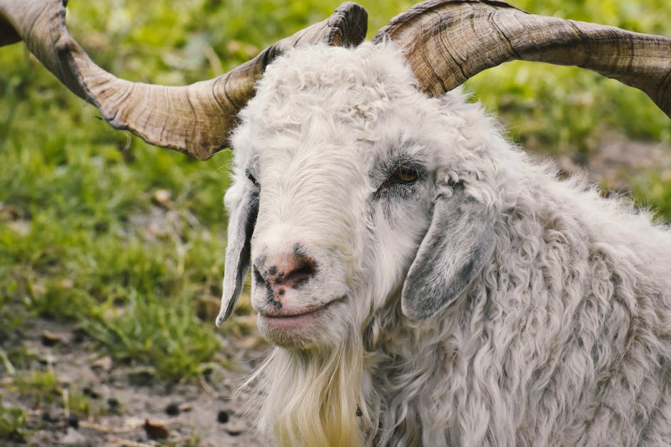 Uzgoj ostalih životinja