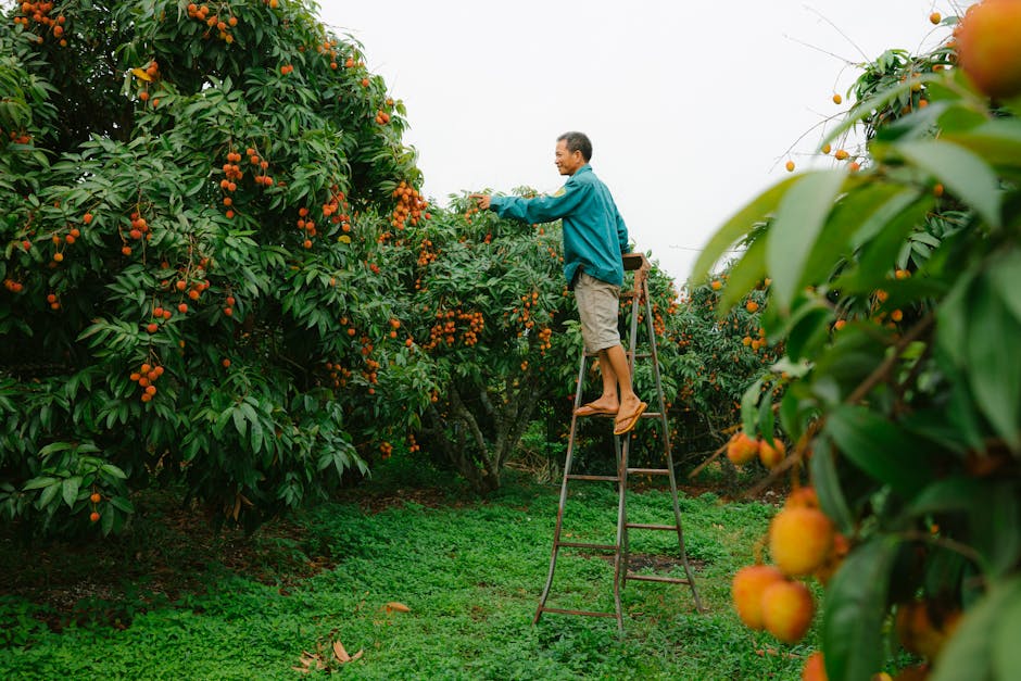 Gajenje tropskog i suptropskog voća