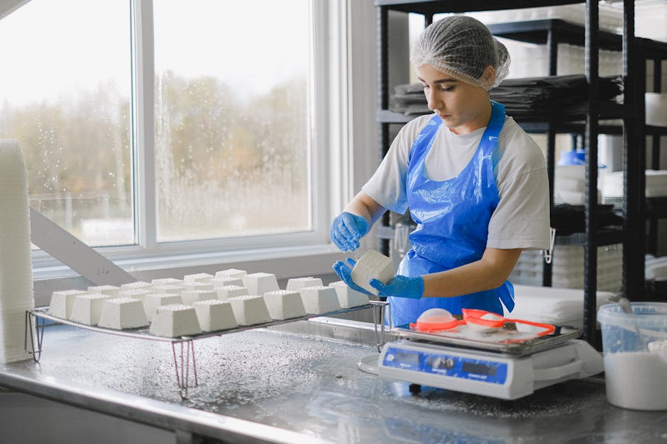 Prerada mleka i proizvodnja sireva