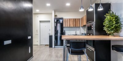 Proizvodnja električnih aparata za domaćinstvo