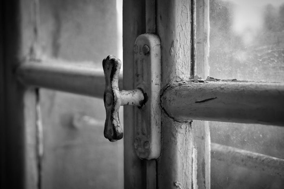 Proizvodnja metalnih vrata i prozora