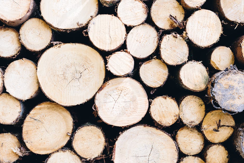 Šumarstvo i seča drveća