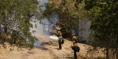 Uslužne delatnosti u vezi sa šumarstvom